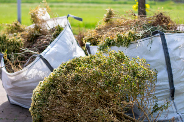 Best Appliance Removal Near Me  in St Peter, WI